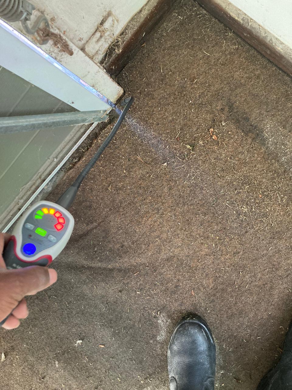 Leak detection — moisture reading